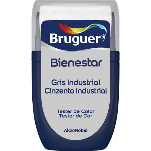 Tester de pintura condición 30 ml gris industrial