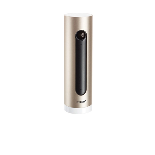 Cámara de seguridad IP netatmo bienvenida