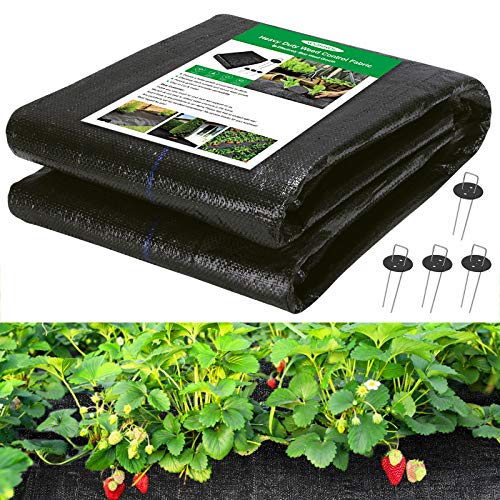 WOKKOL Red de control de malas hierbas, red geotextil, espesor 100 g/m² Red de control de malas hierbas, geotextil de jardín, permeable a la rotura, resistente a los rayos UV (1x24M, 4 clavos, 4 arandelas)