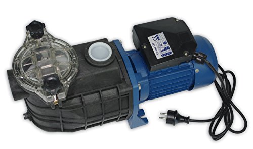 Productos QP 500568M Bravia - Bomba centrífuga monofásica autoaspirante, prefiltro de seguridad, 1 HP