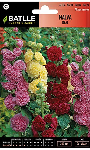 Semillas de flores - Royal Malva - Batlle