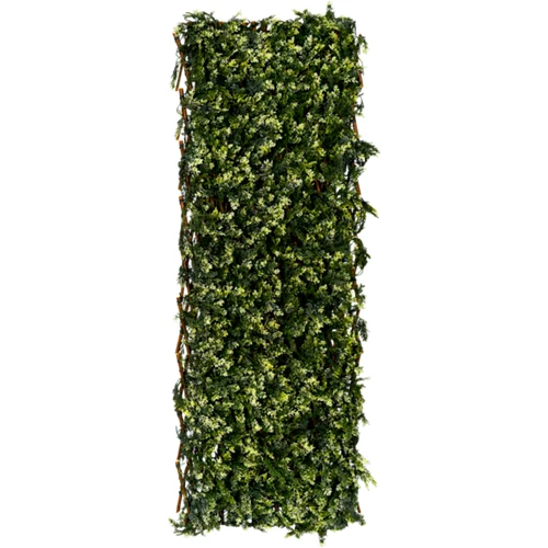 Rejilla extensible de mimbre verde con hojas de ciprés 100x150 cm